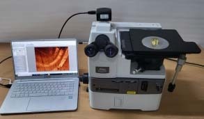 Photo Used NIKON Eclipse MA200 For Sale
