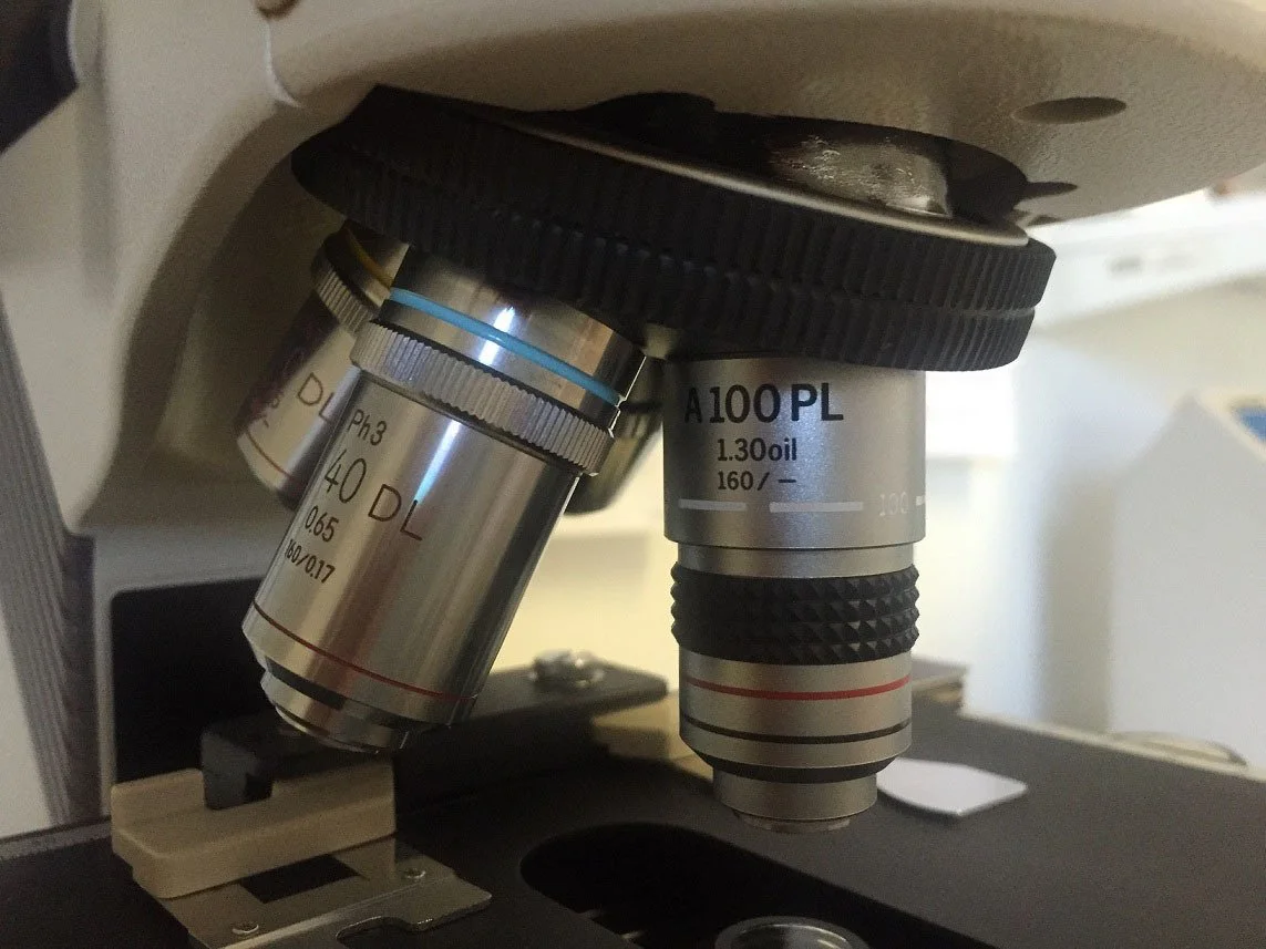 NIKON Labophot 2 Microscope used for sale price #101753