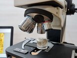 フォト（写真） 使用される NIKON Optiphot 100 販売のために