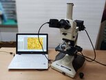 フォト（写真） 使用される NIKON Optiphot 100 販売のために