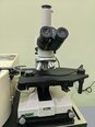圖為 已使用的 NIKON Optiphot 88 待售