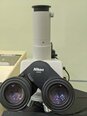 圖為 已使用的 NIKON Optiphot 88 待售
