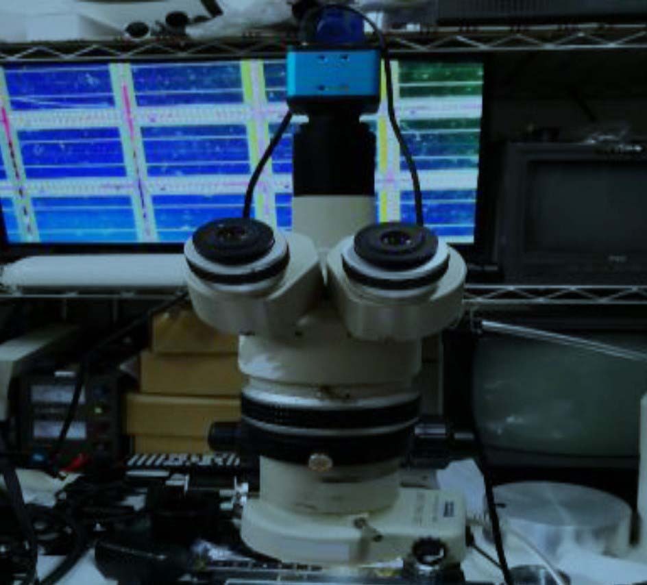 圖為 已使用的 NIKON SMZ-10 待售