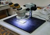 NIKON SMZ-1