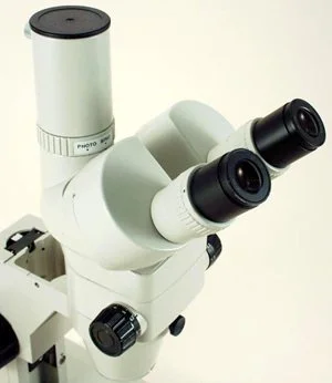 NIKON SMZ-2T Microscope used for sale price #118873 > buy NIKON SMZ-2T Microscope used for sale price #118873 > buy