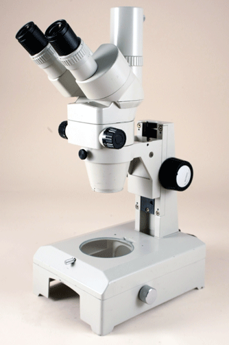 NIKON SMZ-2T Microscope used for sale price #118873 > buy from CAE