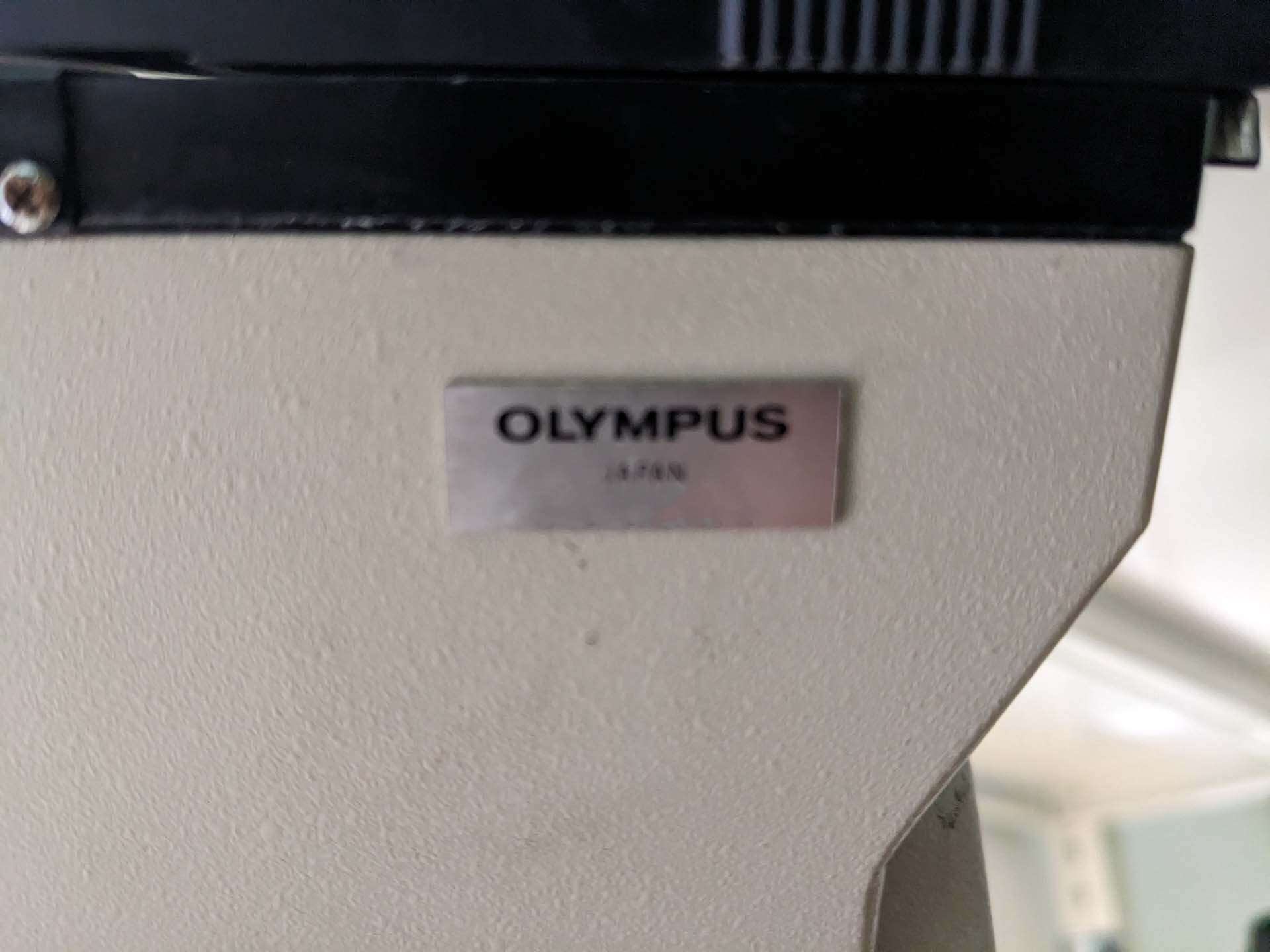 사진 사용됨 OLYMPUS BH2-UMA 판매용