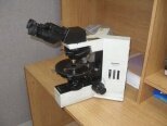 OLYMPUS BX40
