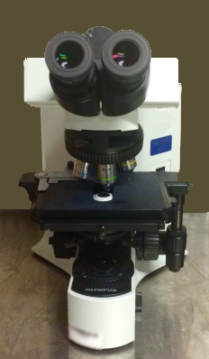 Photo Used OLYMPUS BX41 For Sale