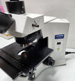 Photo Utilisé OLYMPUS BX41 À vendre