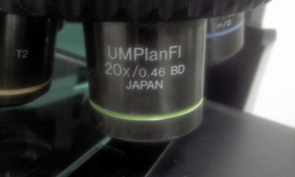 Photo Used OLYMPUS BX51 For Sale