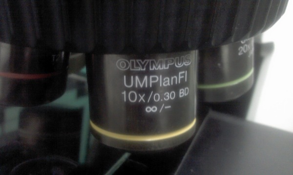 Photo Used OLYMPUS BX51 For Sale