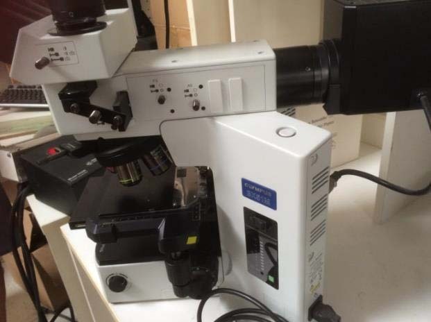 Photo Used OLYMPUS BX51 For Sale