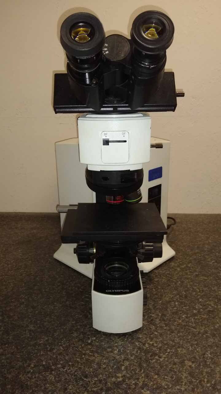 Photo Used OLYMPUS BX51 For Sale