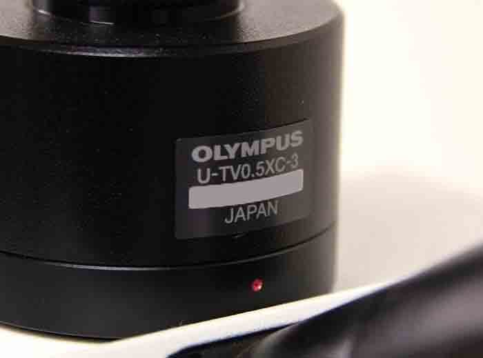 Photo Used OLYMPUS BX51 For Sale