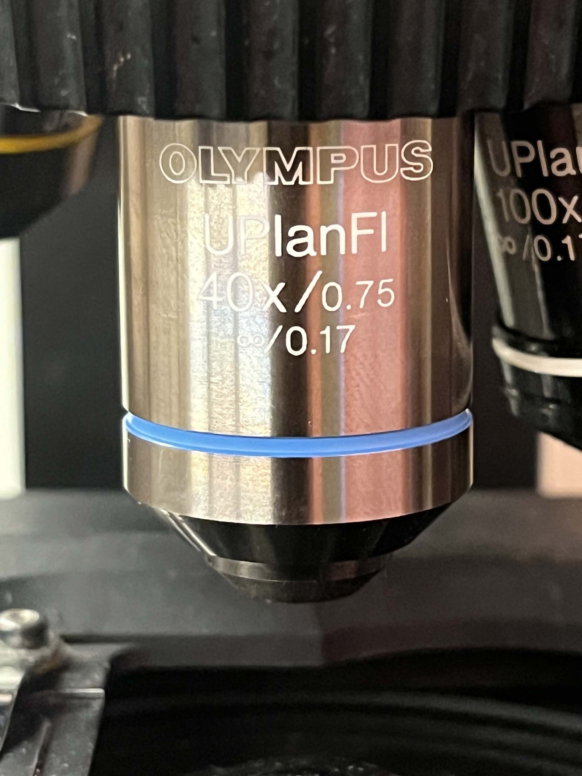 사진 사용됨 OLYMPUS BX50 판매용