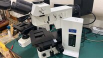 사진 사용됨 OLYMPUS BX51 판매용