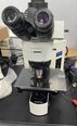 사진 사용됨 OLYMPUS BX51 판매용