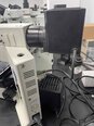 사진 사용됨 OLYMPUS BX51 판매용
