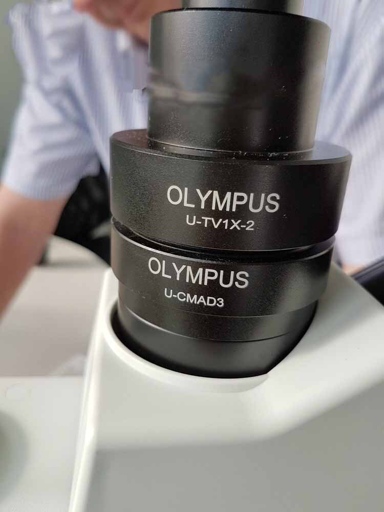 フォト（写真） 使用される OLYMPUS BX51M 販売のために