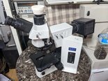 Photo Used OLYMPUS BX51M For Sale