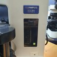 Photo Used OLYMPUS BX51TF For Sale