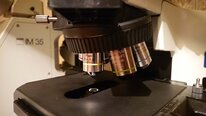 Photo Utilisé OLYMPUS BX51TF À vendre