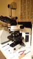 Photo Utilisé OLYMPUS BX51TF À vendre