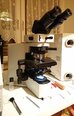 OLYMPUS BX51TF