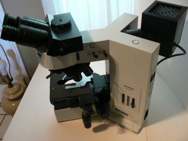 Photo Used OLYMPUS BX60 For Sale