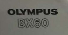 사진 사용됨 OLYMPUS BX60 판매용