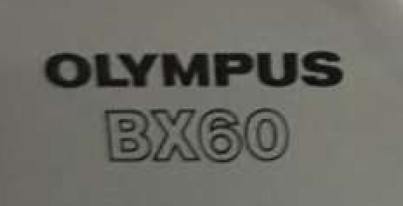 图为 已使用的 OLYMPUS BX60 待售