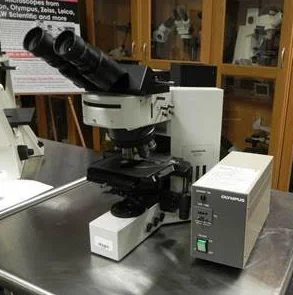 OLYMPUS BX60 顕微鏡 はセール価格 #125752 で使用されています OLYMPUS BX60 顕微鏡 はセール価格 #125752 で使用されています