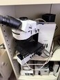 OLYMPUS BX60