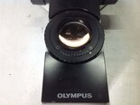 图为 已使用的 OLYMPUS BX60F 待售