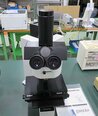 사진 사용됨 OLYMPUS BX60M 판매용