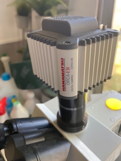 圖為 已使用的 OLYMPUS BX61 待售