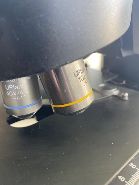 圖為 已使用的 OLYMPUS BX61 待售