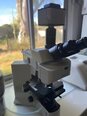 OLYMPUS BX61