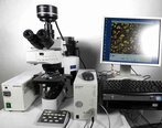 OLYMPUS BX61FL / DP71