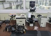 OLYMPUS BX61TRF