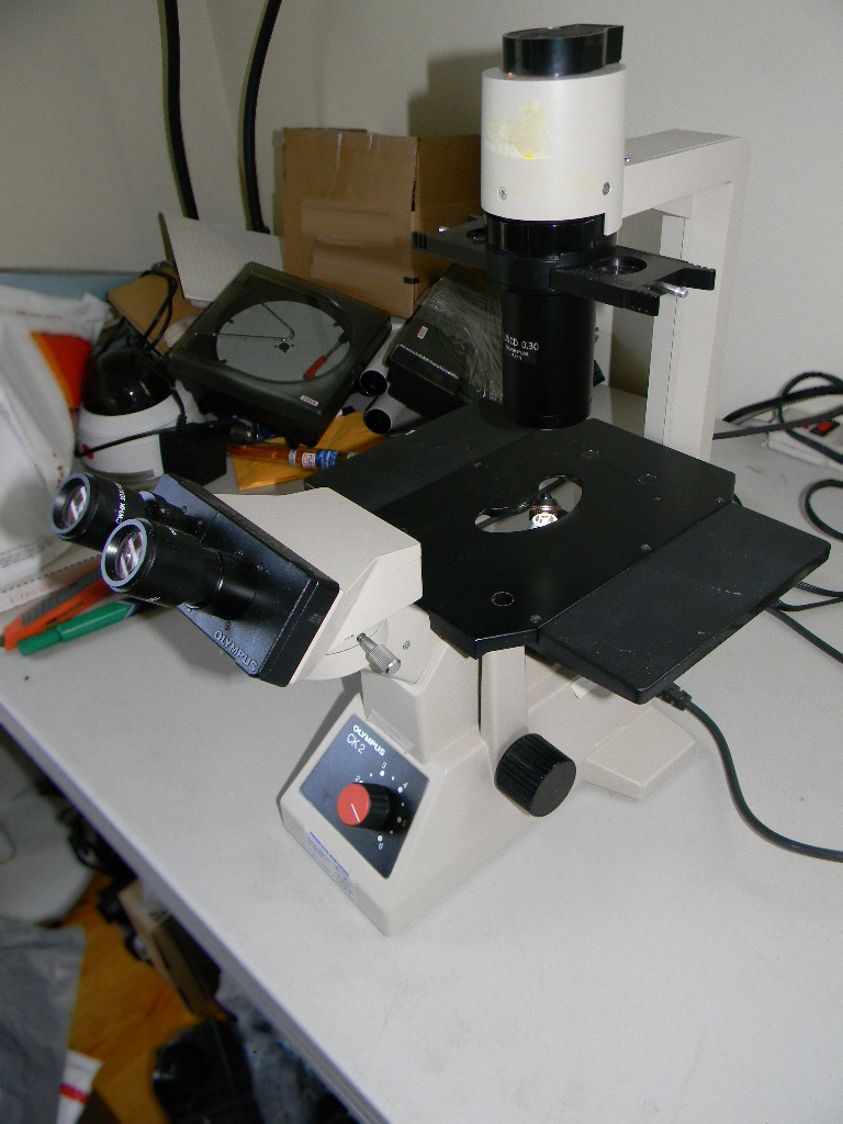 OLYMPUS CK2 顕微鏡 はセール価格 #9095970 で使用されています > CAE