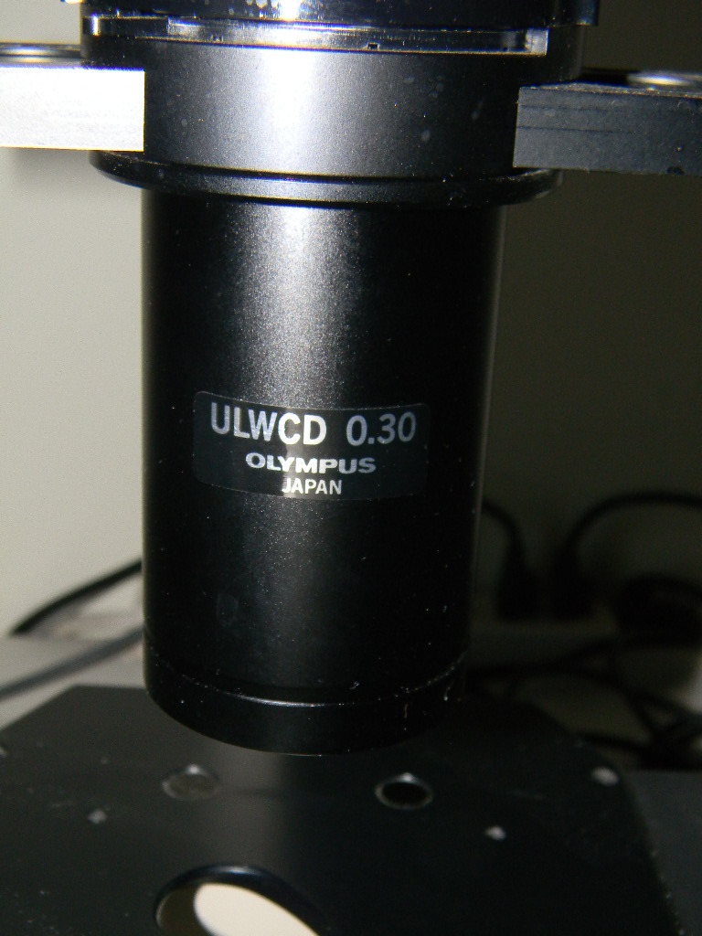 OLYMPUS CK2 顕微鏡 はセール価格 #9095970 で使用されています > CAE