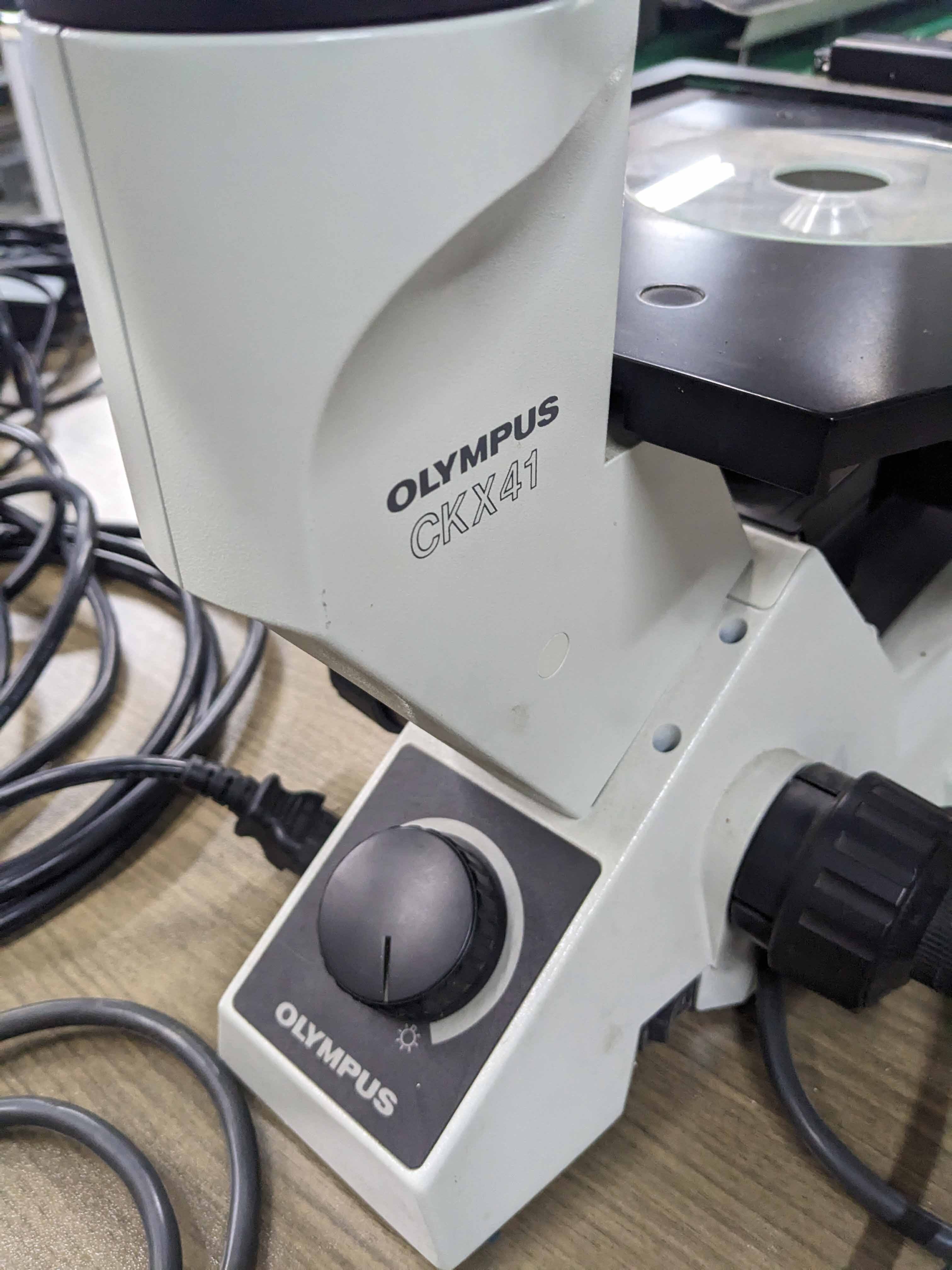 Olympus Ckx Sf Microscope Used For Sale Price Buy From Cae