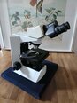 OLYMPUS CX31
