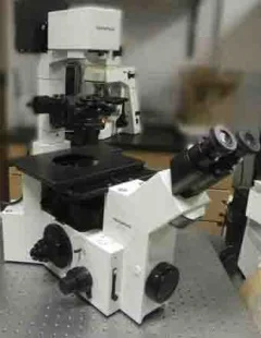 OLYMPUS IX-70 顕微鏡 はセール価格 #125698 で使用されています > CAE