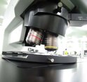 Photo Used OLYMPUS MX61-F For Sale