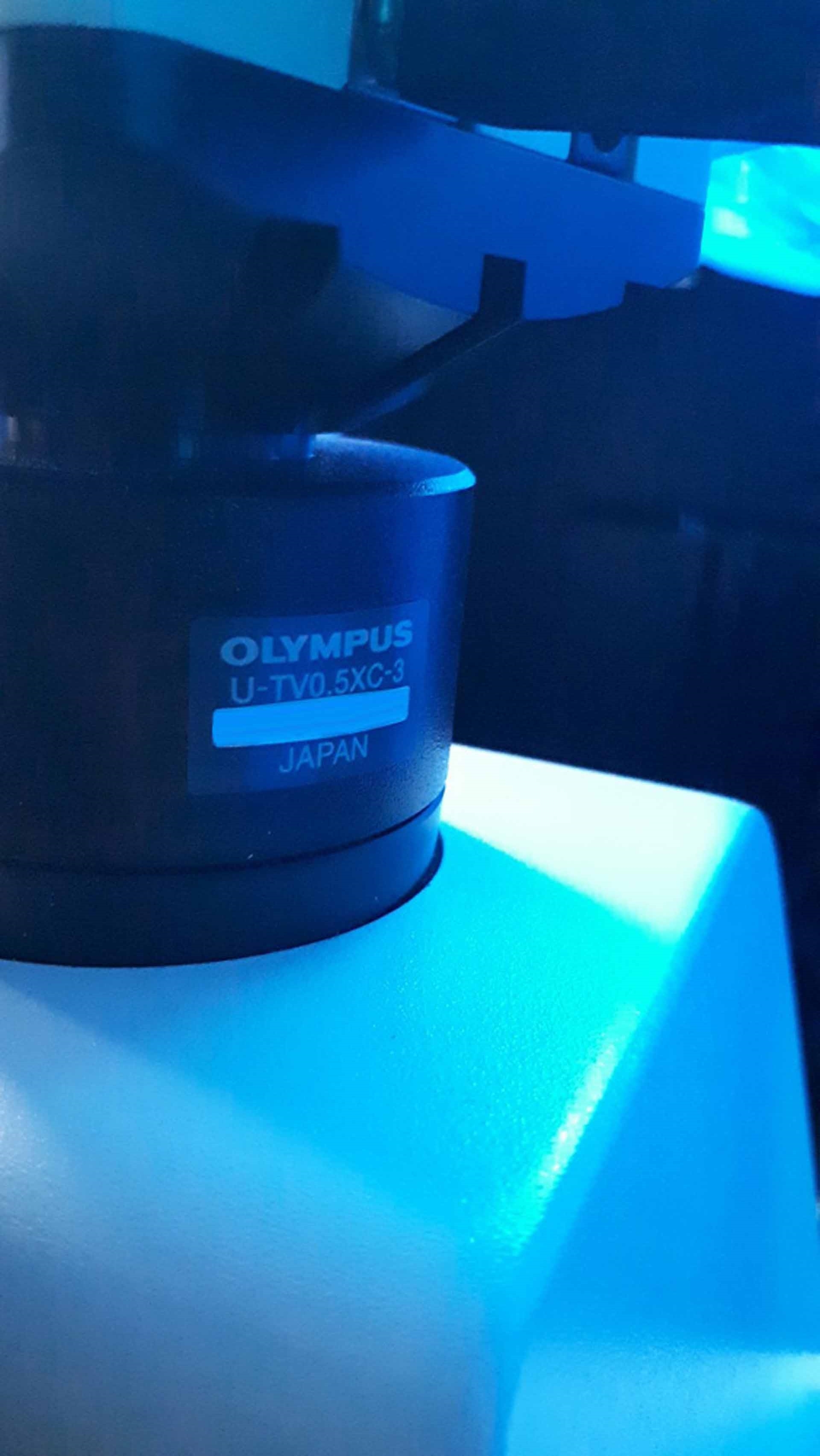 Photo Used OLYMPUS MX61L-F For Sale