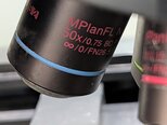 圖為 已使用的 OLYMPUS MX61L-F 待售