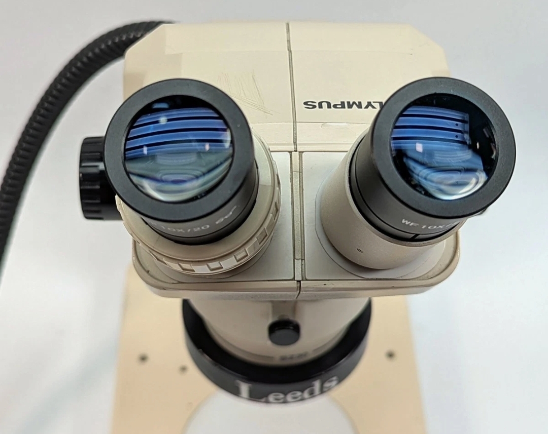 Photo Used OLYMPUS SZ 3060 For Sale
